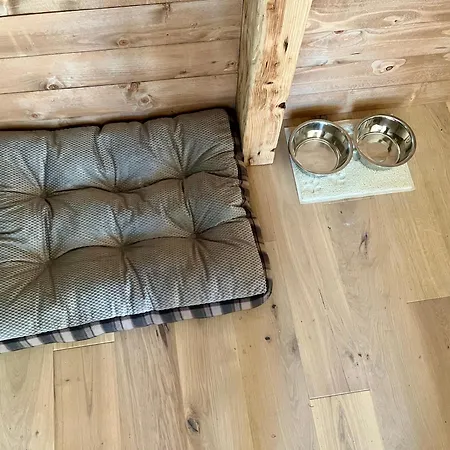 Feriehus Parenthese En Foret - Hautbois, Sidobre *