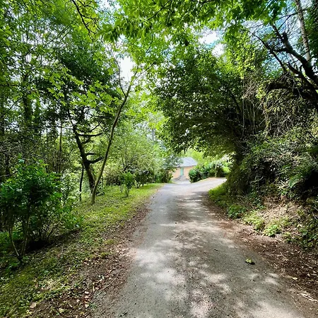 Parenthese En Foret - Hautbois, Sidobre Le Bez (Tarn)