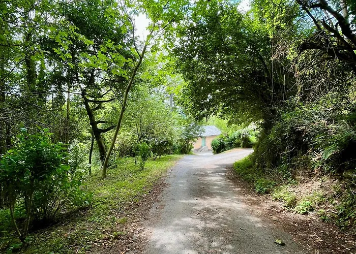 Parenthese En Foret - Hautbois, Sidobre Le Bez